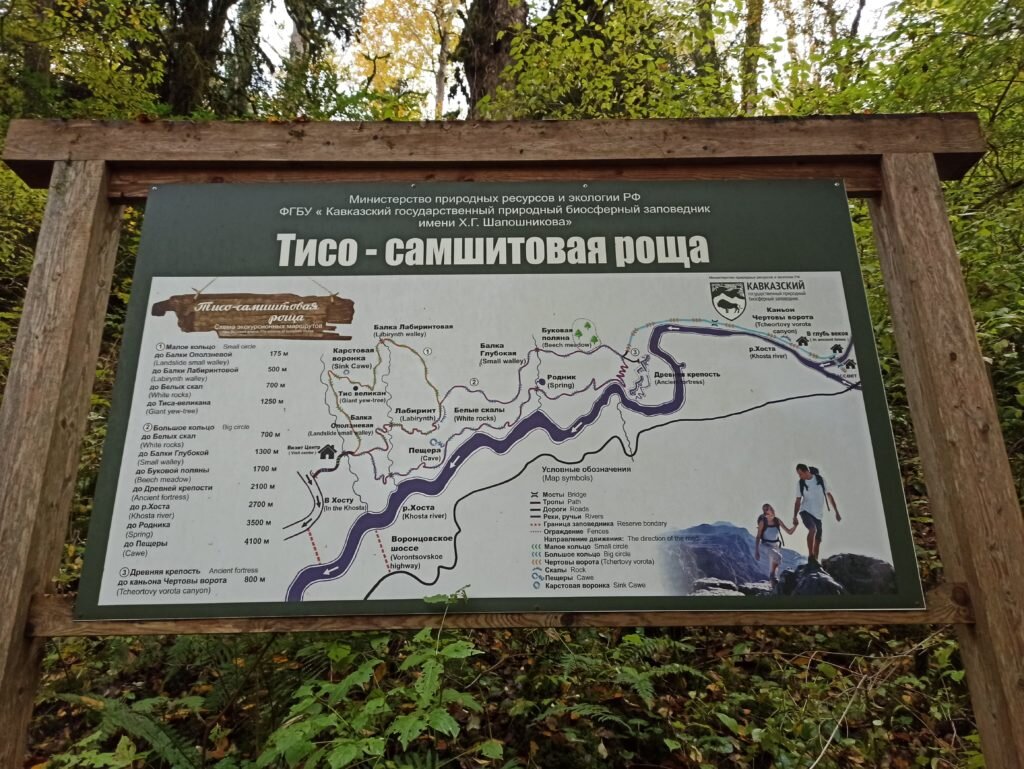 Тисо самшитовая роща план