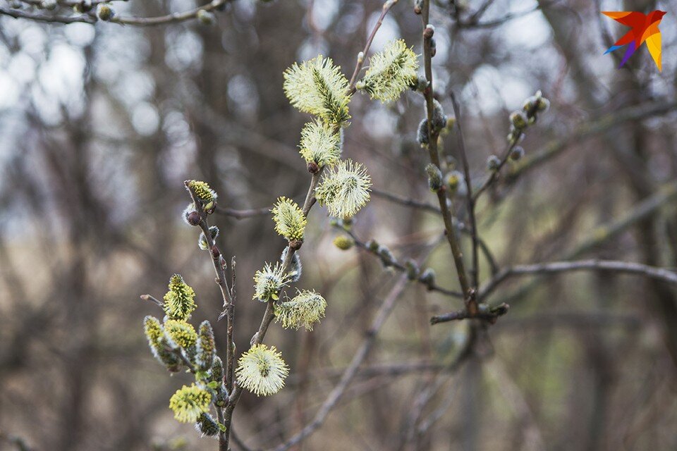     В середине апреля белорусов ждет потепление. Фото: архив «КП»