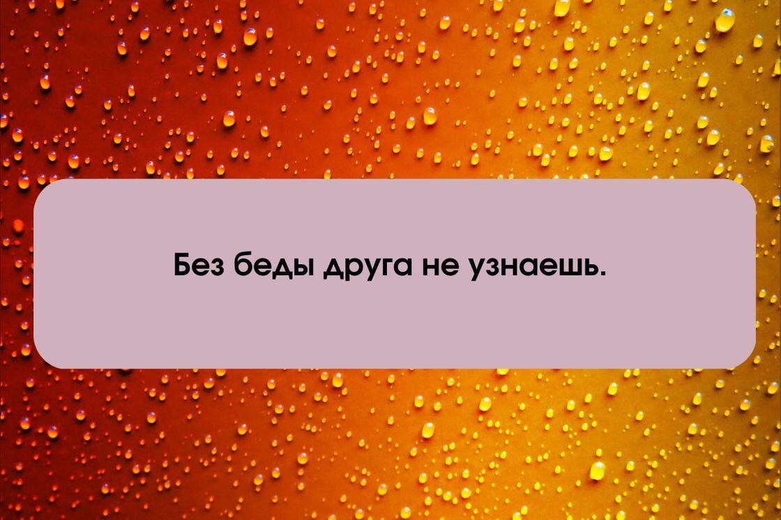    Интересные пословицы и поговорки о дружбе:NUR.KZ