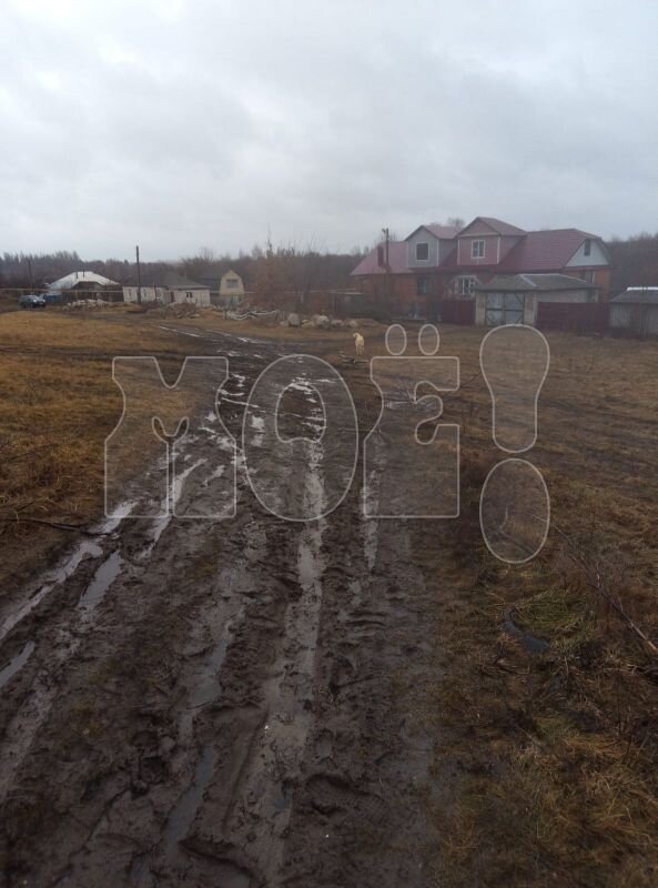    Фото: читатель «МОЁ! Online»