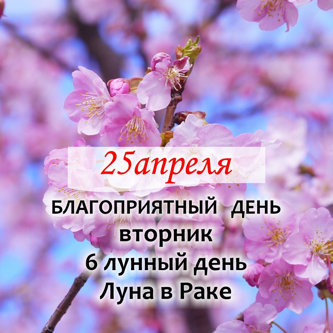 Рак, Скорпион, Рыбы: самые удачные дни в апреле по лунному календарю |  Гороскопы от Астролога | Дзен