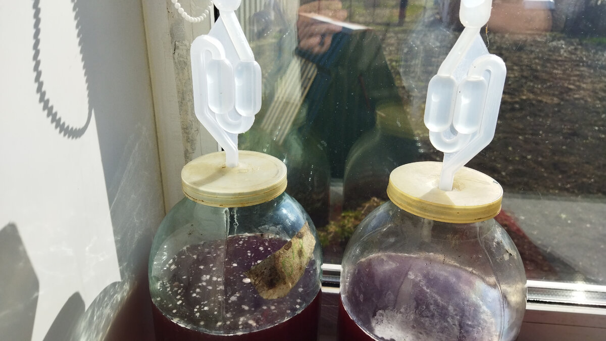 Виноматериал под гидрозатвором.