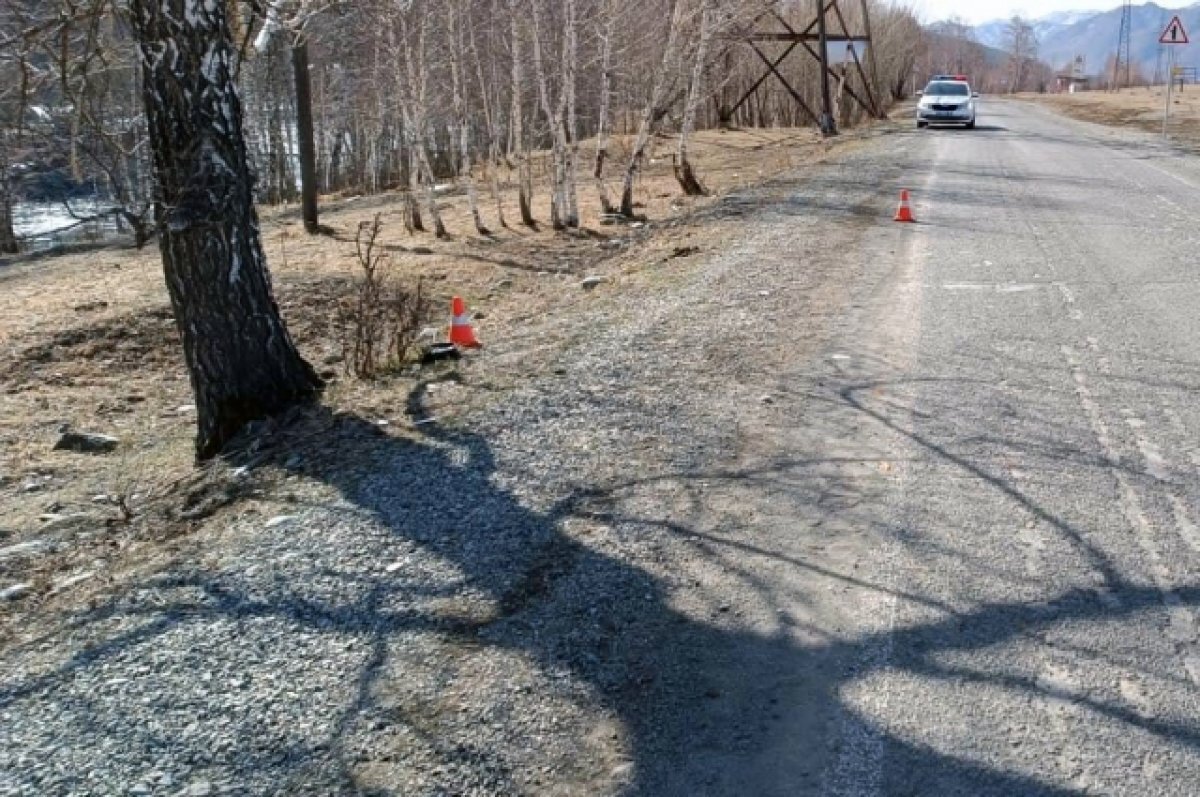    На Алтае ВАЗ насмерть сбил 34-летнего жителя Новосибирска