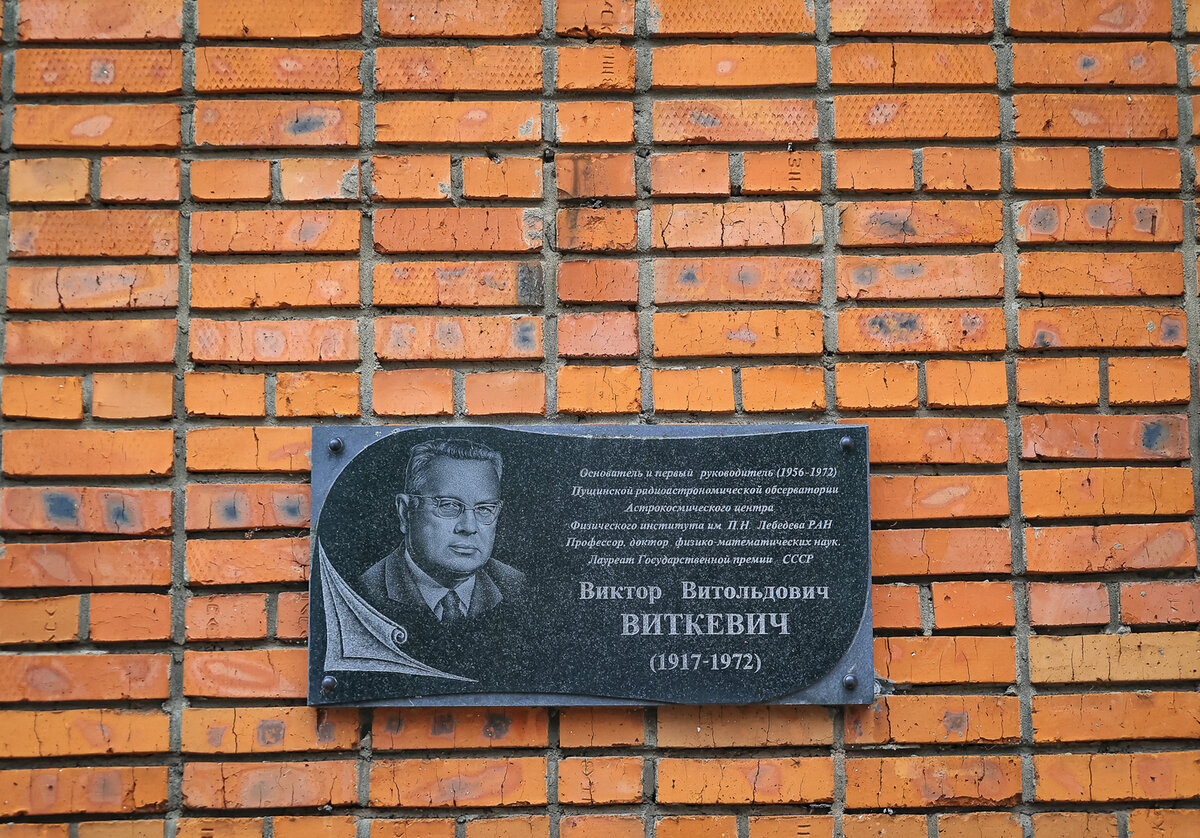    Светлана Парфенова