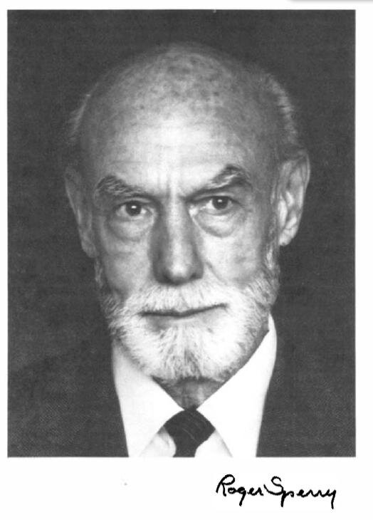 Роджер Сперри