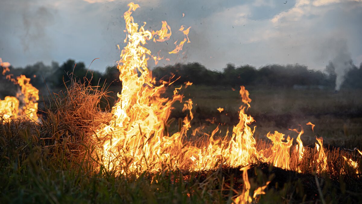    В Нижневартовске виновников ландшафтных пожаров вычислят по мобильному телефону