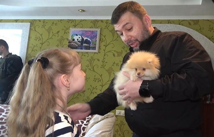    denis-pushilin.ru