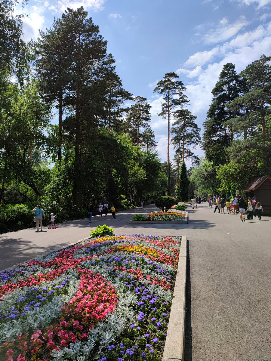 Центральная аллея, вся в цветах...