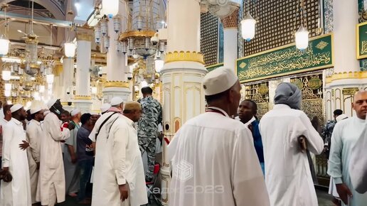 ТАЙНА ЗИЯРАТОВ МЕДИНЫ \\ Хадж-2023 | ИсламДаг.ру | Дзен