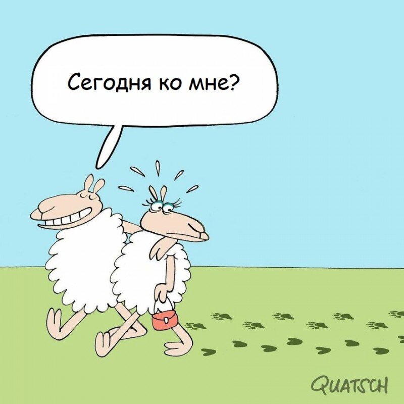 Фото: quatsch.be