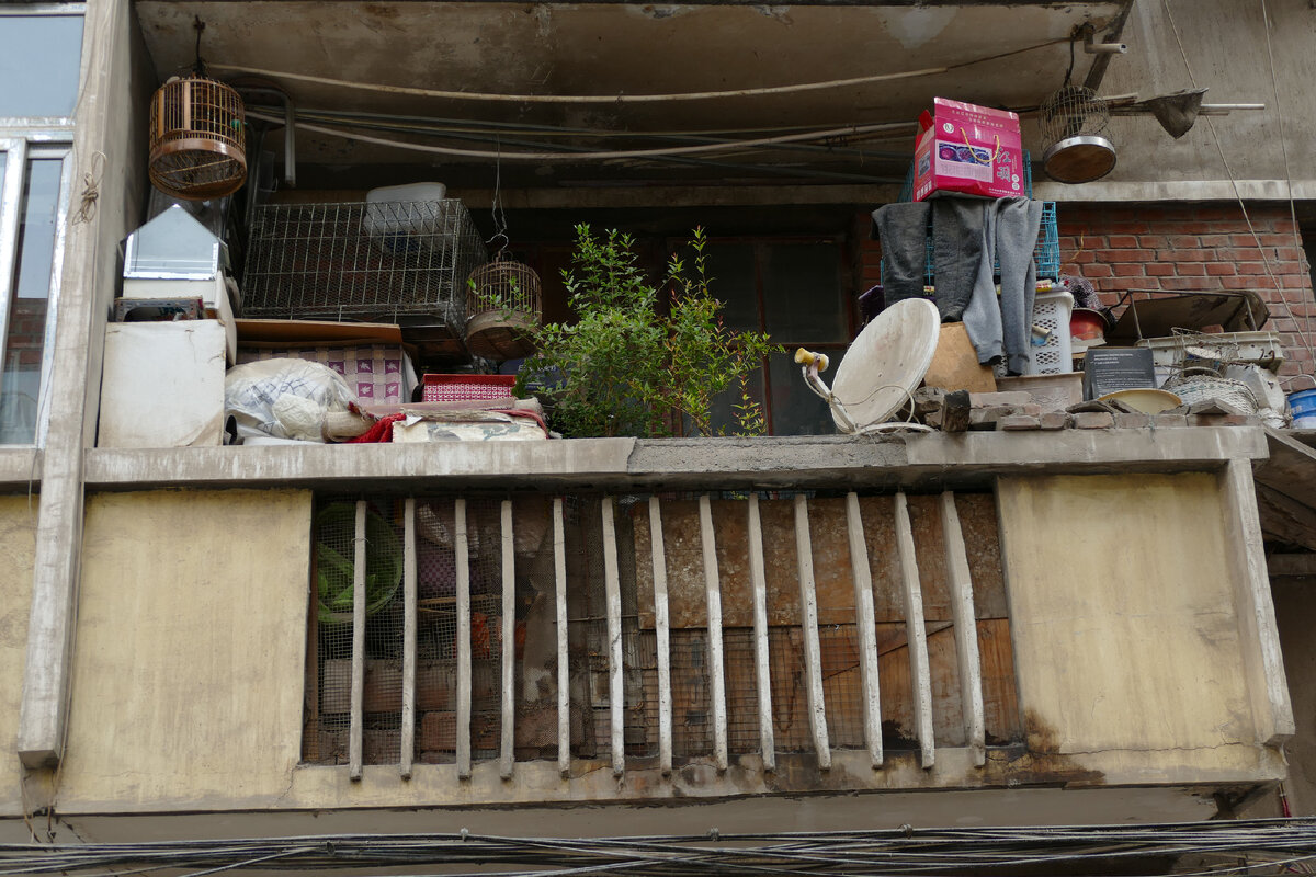 изображение со свободной лицензией https://commons.wikimedia.org/wiki/File:%E9%98%B3%E5%8F%B0%E4%B8%8A%E5%9B%A4%E7%A7%AF.jpg