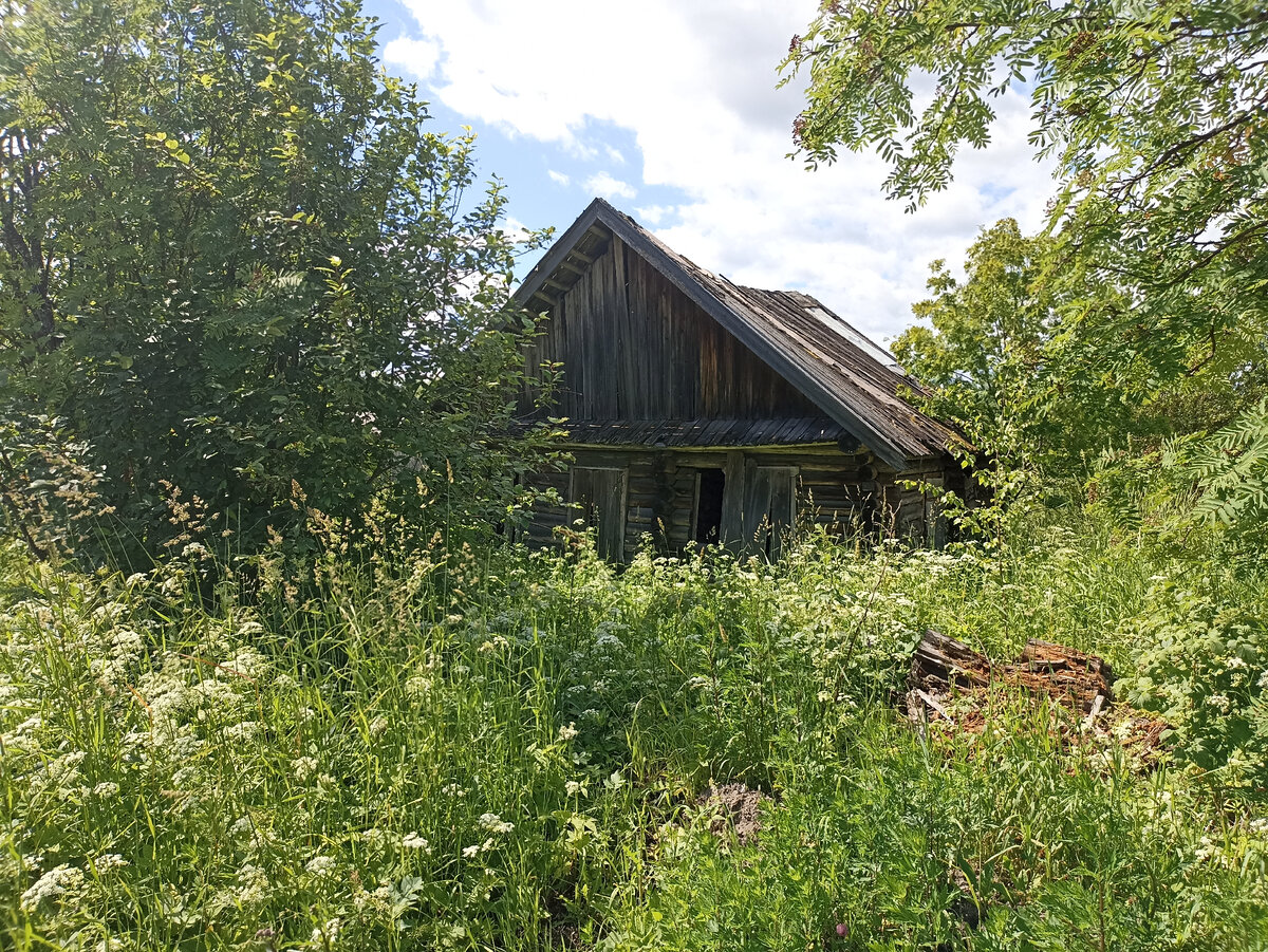 Я помню то время, когда в этом доме жила старушка