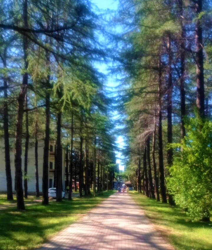 Дорожка к морю.
