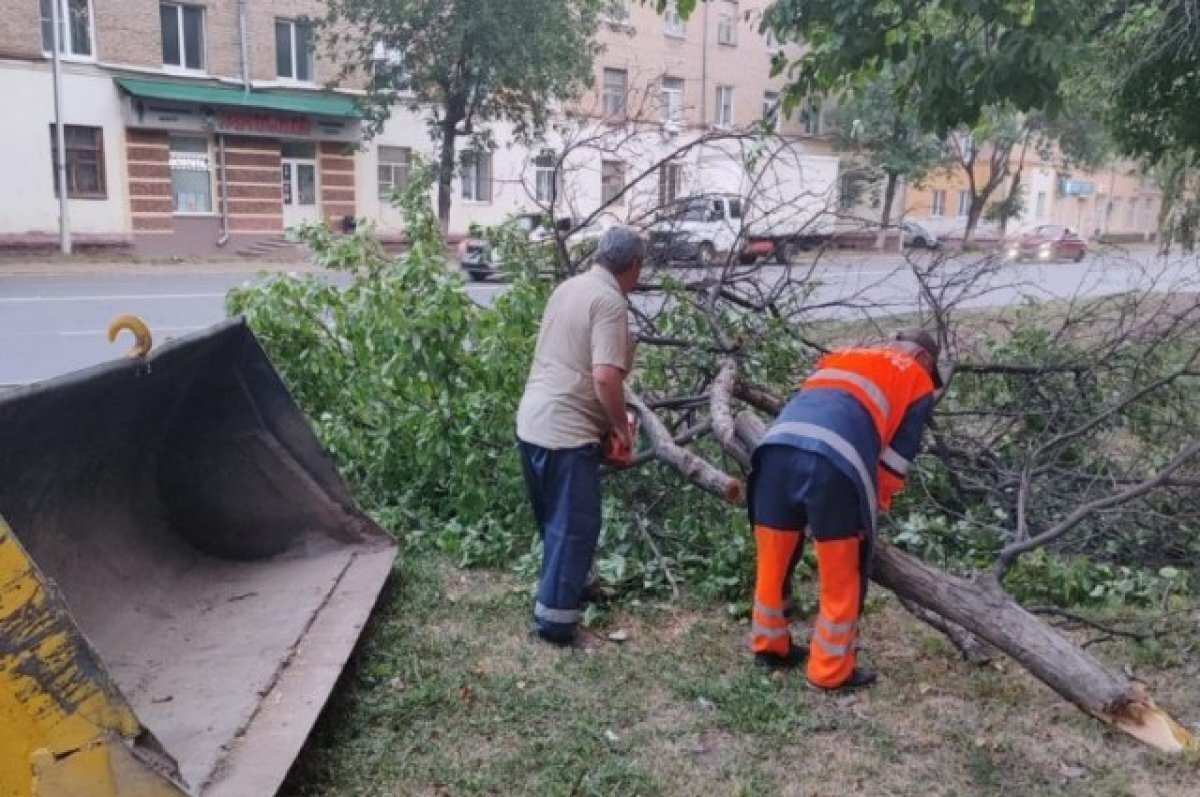    Ураганный ветер в Уфе повалил 85 деревьев и повредил 12 автомобилей