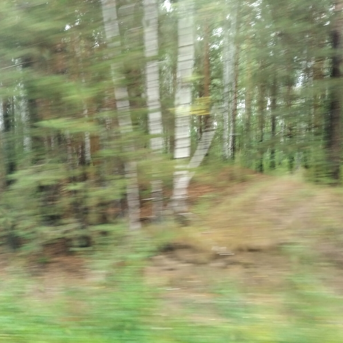 Сфоткала по дороге. 