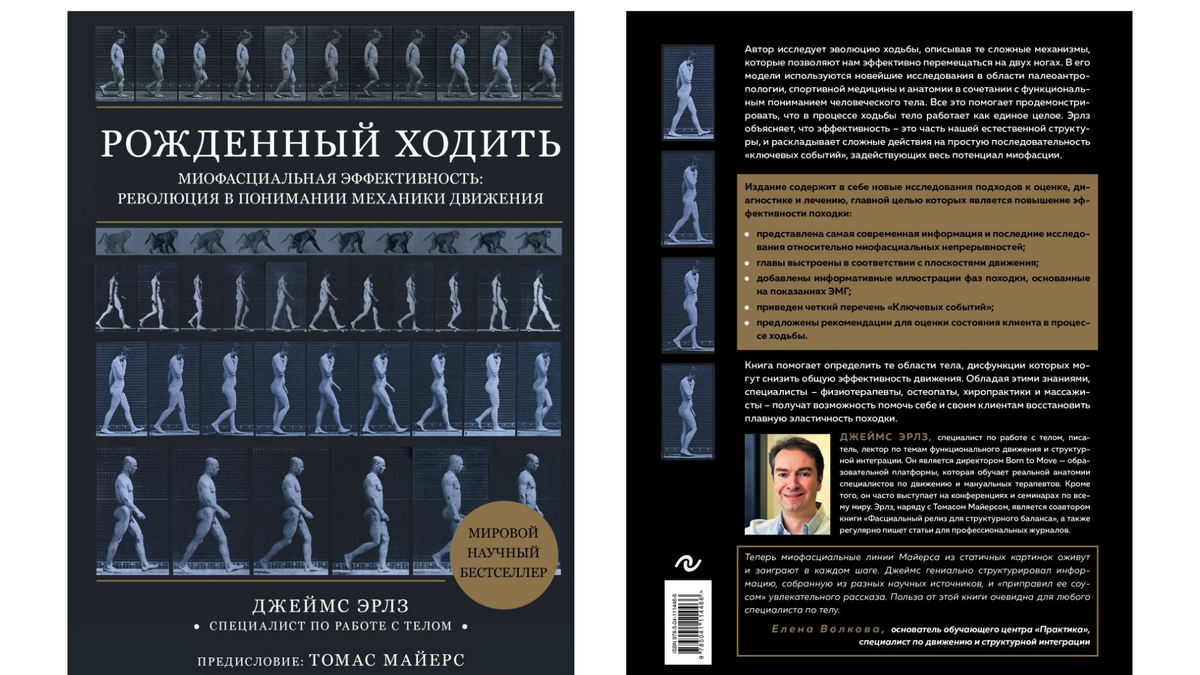 Рожденные ходить? Новый взгляд на анатомию + эксперимент | Йогатерапия с  Татьяной Дудиной | Дзен