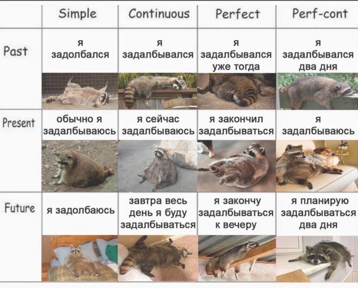 Информация из открытых источников 