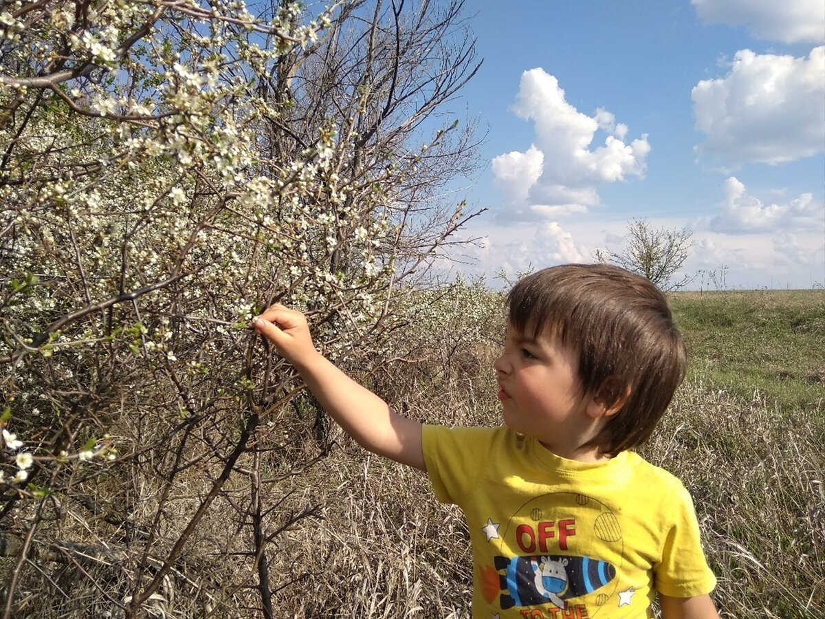Сын. Листайте галерею - там красиво. 
