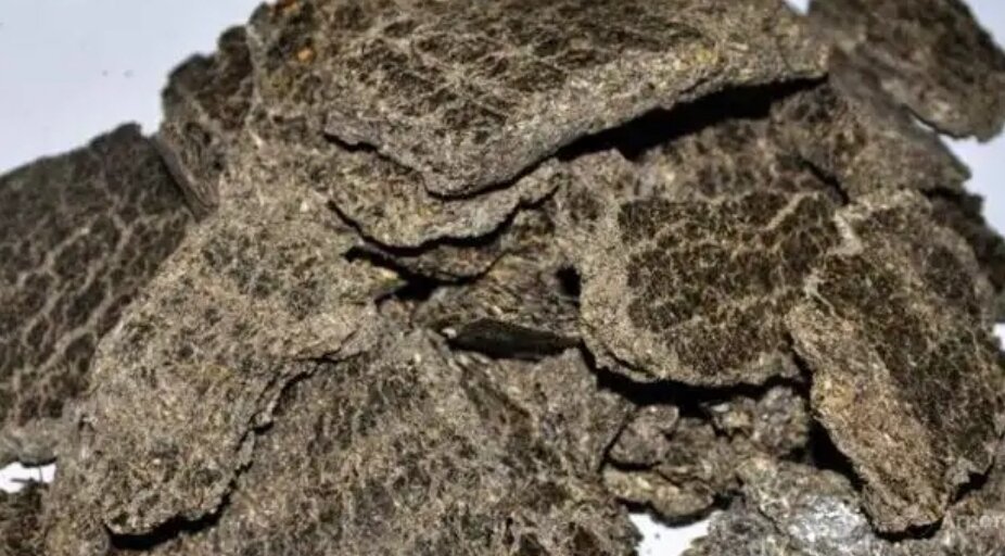 Яндекс картинки