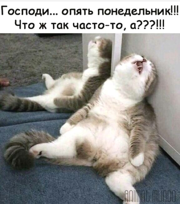 -2-3