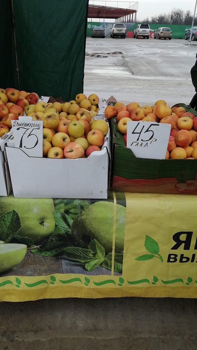 Ярмарка около нашего дома