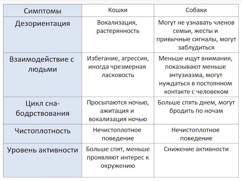 Источник: лекция ветеринарного невролога Людмилы Кониковой