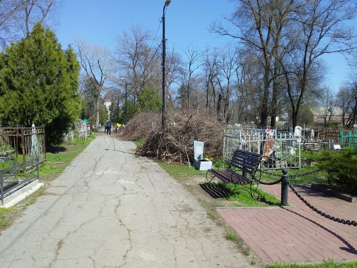 Рубят поросль на главной аллее и измельчают измельчителем