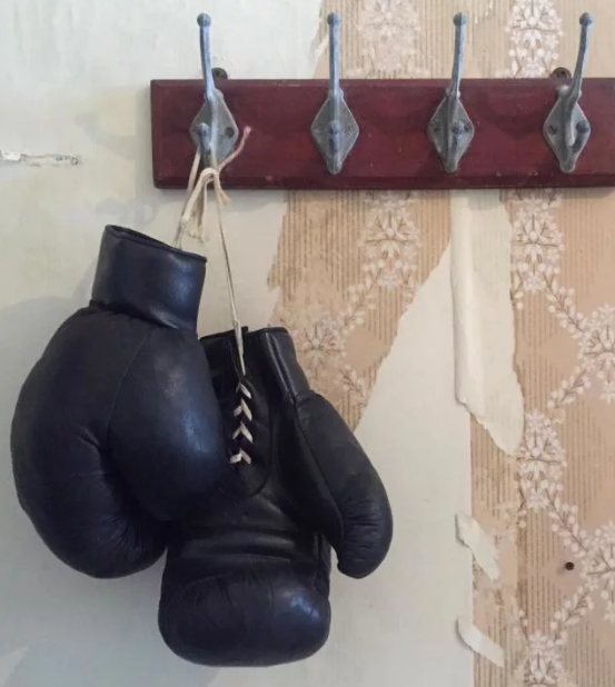 Old School Boxing перчатки