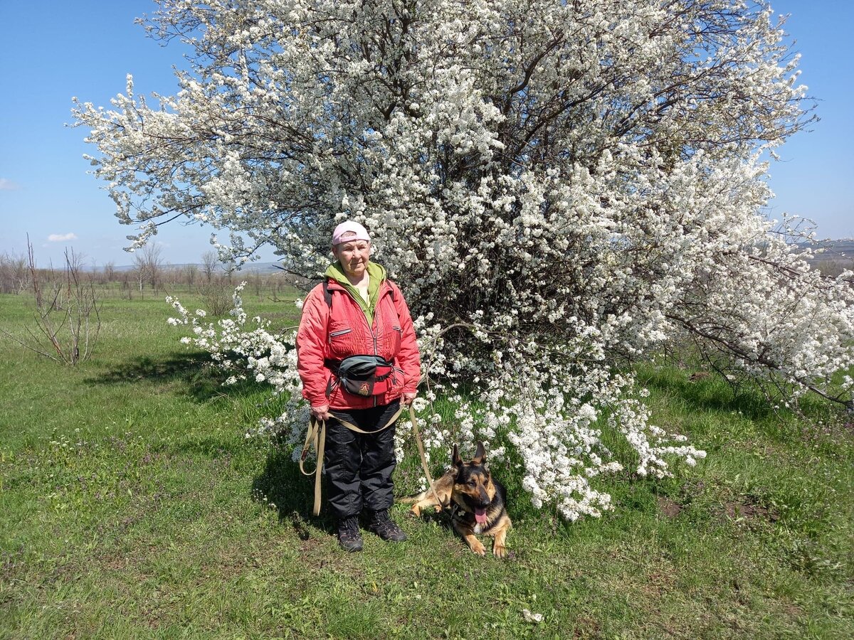 Алыча и мы с Кейси