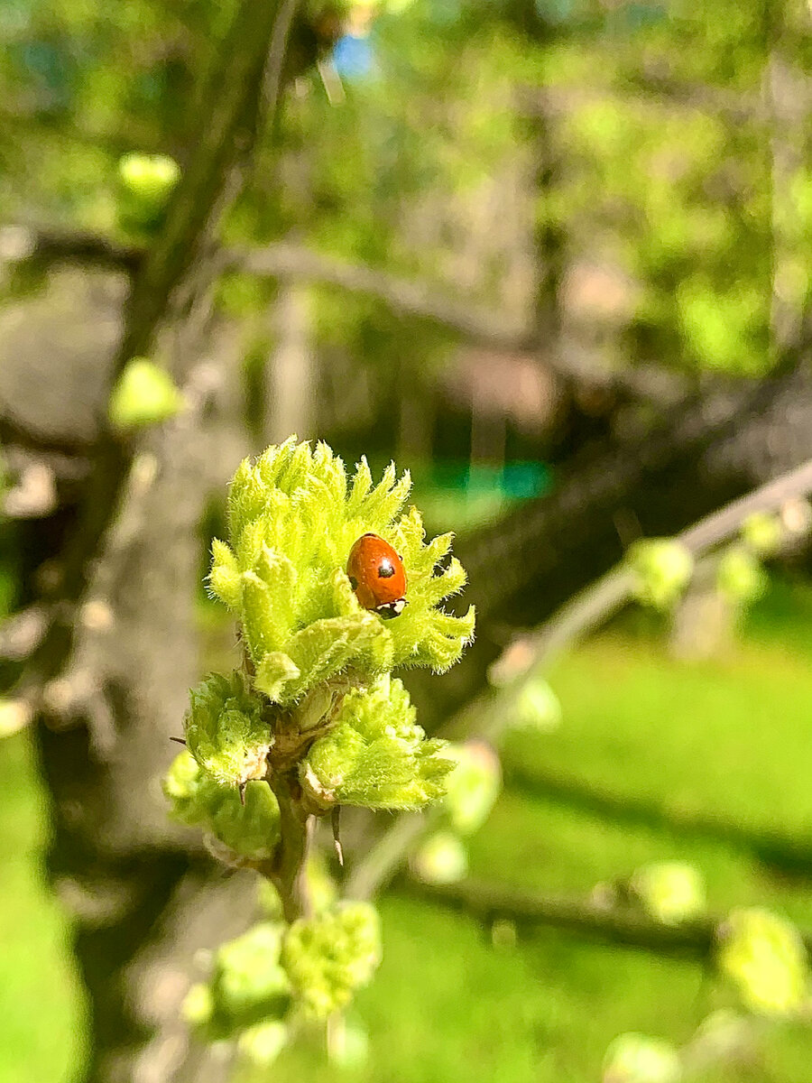 Сегодня утром с неба ангелы привет передали☺️