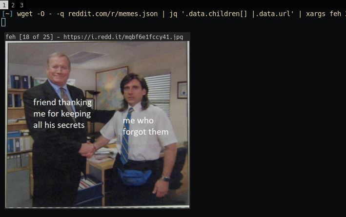 И у нас запускается feh с мемами, которые можно листать клавишами со стрелками, словно это картинки на локальном диске.



Или можно загрузить все изображения с помощью wget, заменив feh на wget в строке выше.

А возможности безграничны. Ещё один вариант использования картинок с Reddit через JSON — установка топовой картинки подреддита /r/earthporn в качестве обоев рабочего стола: