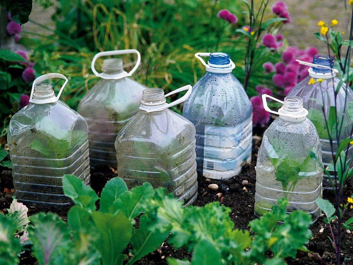 Мои 5 способов применения пластиковых бутылок в огороде