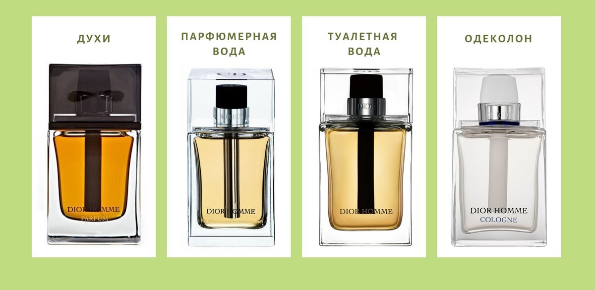 Линейка Dior Homme от Christian Dior