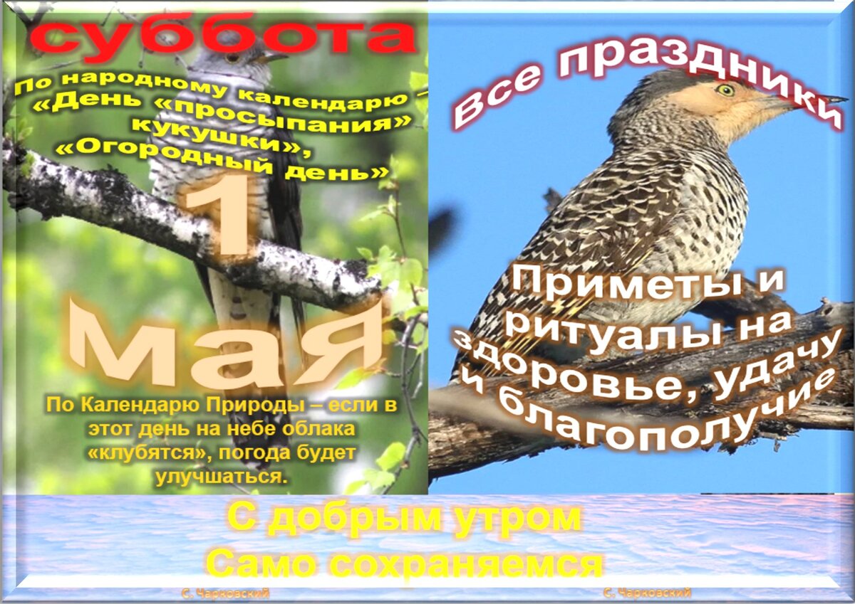 1 мая - все праздники дня во всех календарях. Традиции, приметы, обычаи и  ритуалы дня. | Сергей Чарковский Все праздники | Дзен