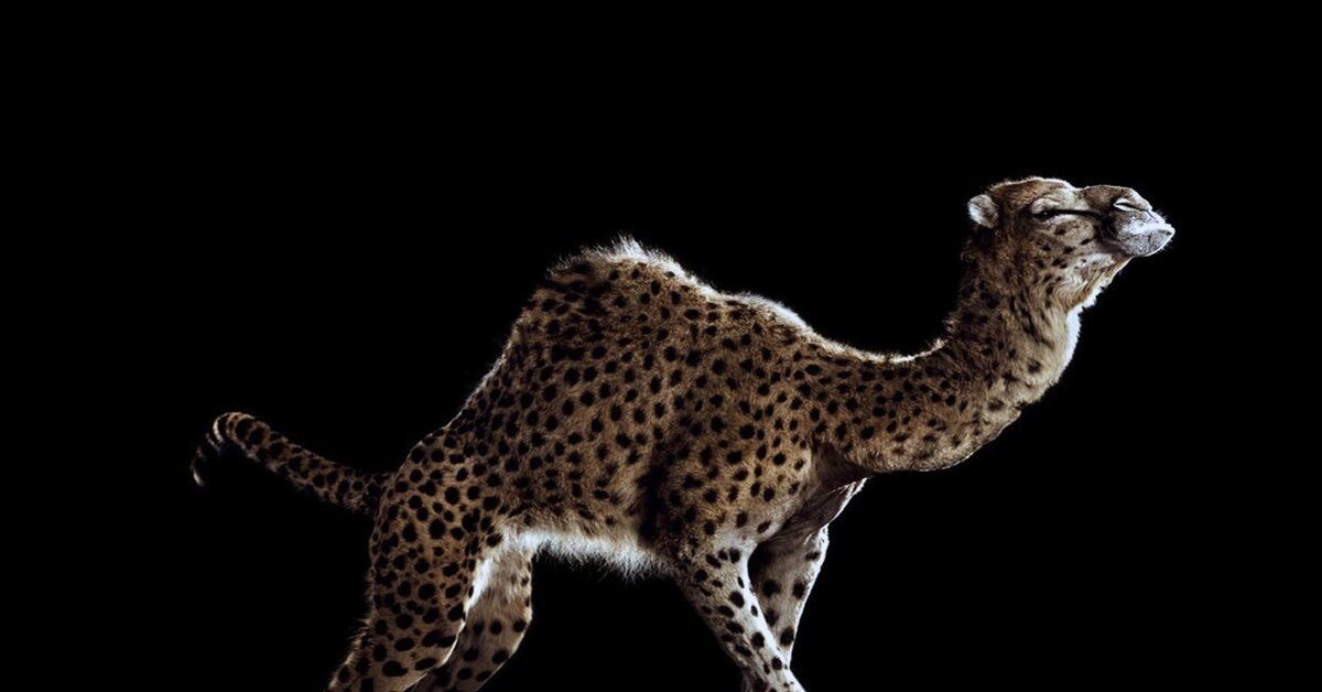 Представим его вот так )