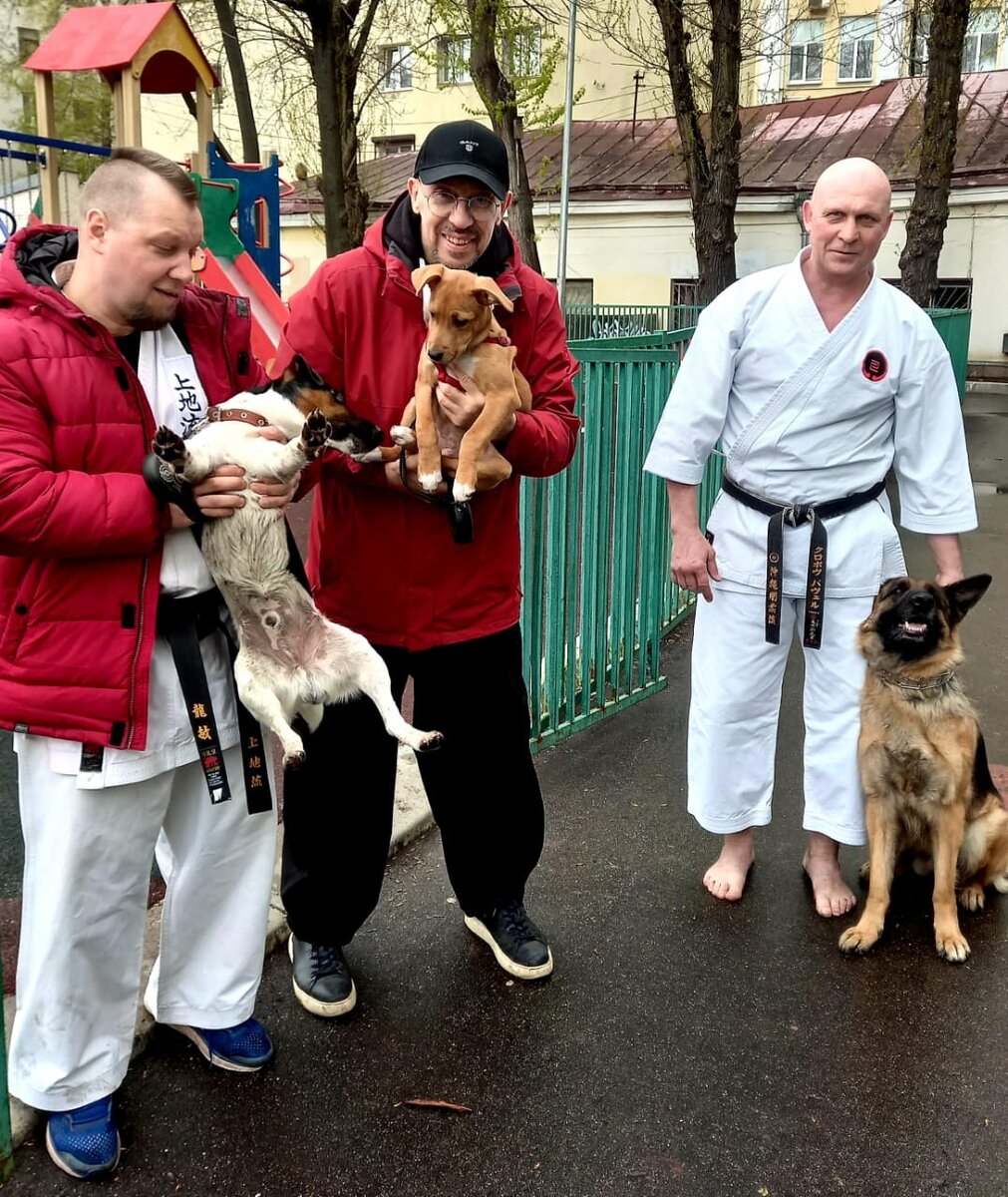 Собачки и каратисты