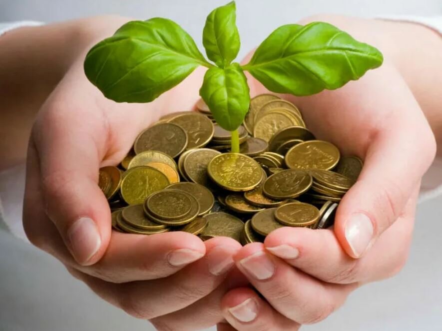 Откуда берется самореализация, приносящая доход?