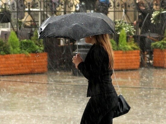 Фото - pixabay.com