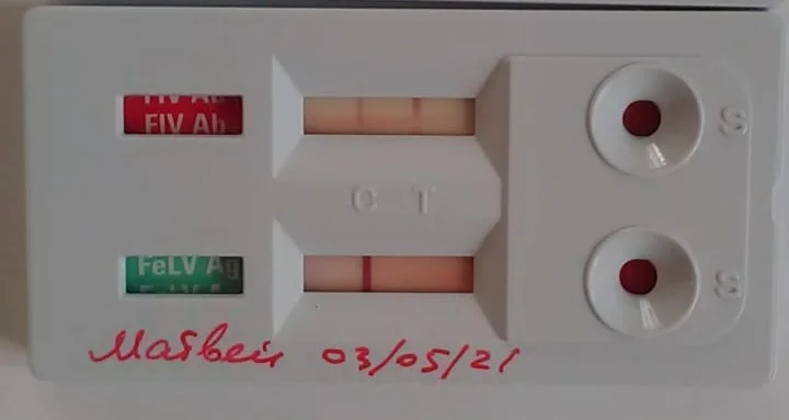 -2