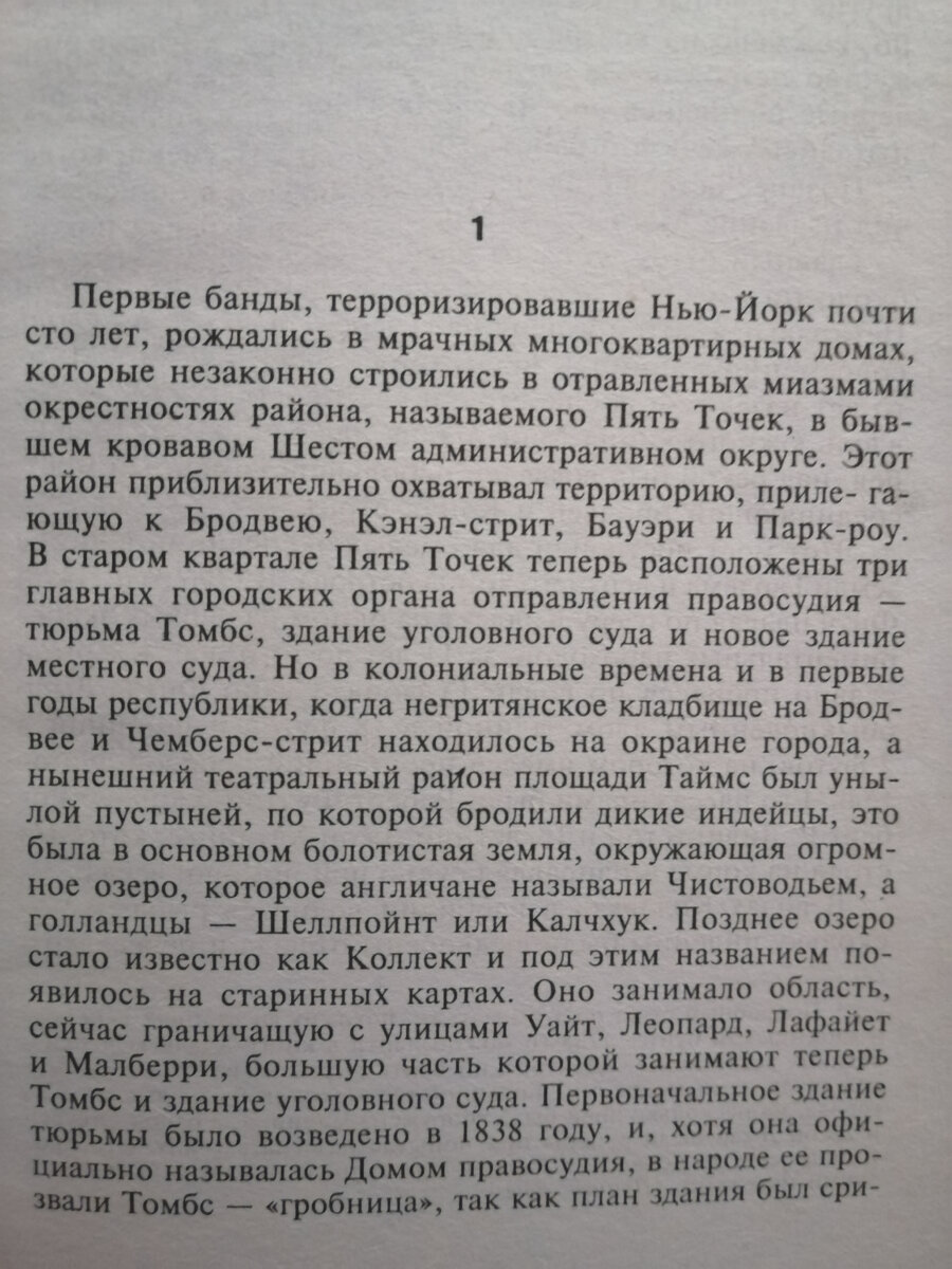 Банды Нью-Йорка. Из истории преступного мира США | Взгляд на интересности |  Дзен