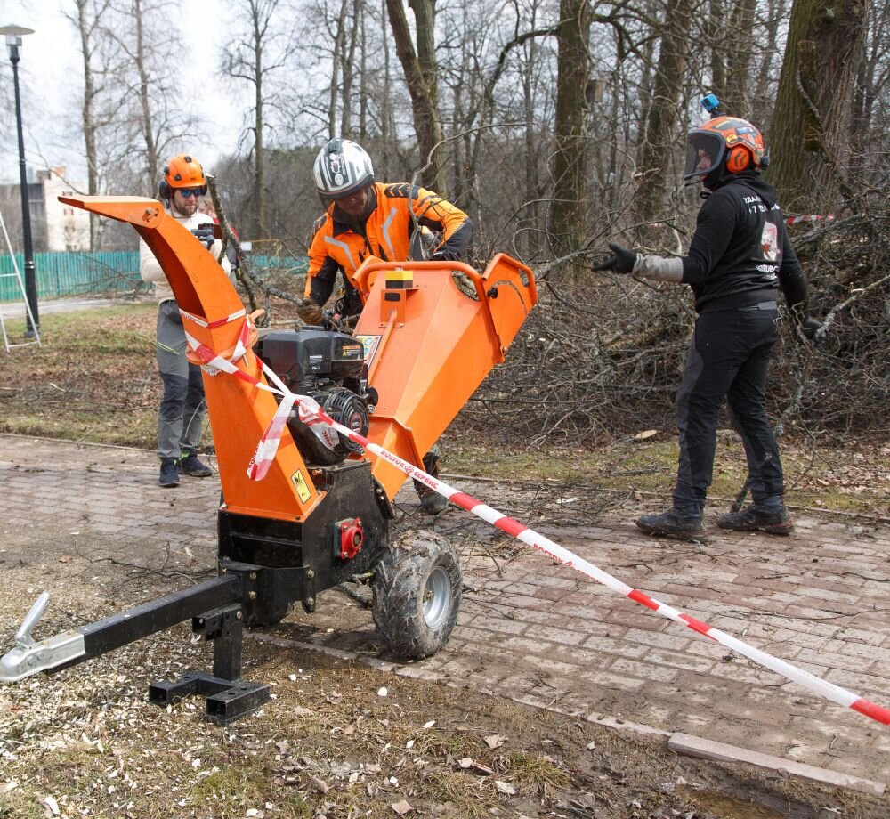 УЗИ для дуба и сосны | Газета «Вперёд» Сергиев Посад | Дзен