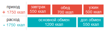 Энергия пищи или законы термодинамики для худеющих!