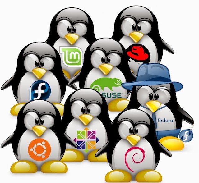 Существует огромное количество операционных систем Linux, каждая из которых предлагает то либо другое преимущество. Различные варианты ОС могут затруднить выбор и забрать немалое количество времени для поиска необходимой именно под ваши задачи. Ubuntu, Mint, Elementary, Fedora, OpenSUSE… список удобных для пользователя дистрибутивов может показаться бесконечной историей. Нужна ОС попроще? Для игр? А возможно, нужен мультимедийный дистрибутив для комфортного просмотра и прослушивания медиа контента? Все они доступны.



Здесь собран регулярно обновляемый список операционных систем Linux, оптимально подходящий под конкретные потребности и требования проекта. Материал — адаптивный перевод статьи Christian Cawley The Best Linux Operating Systems.

Вот список: