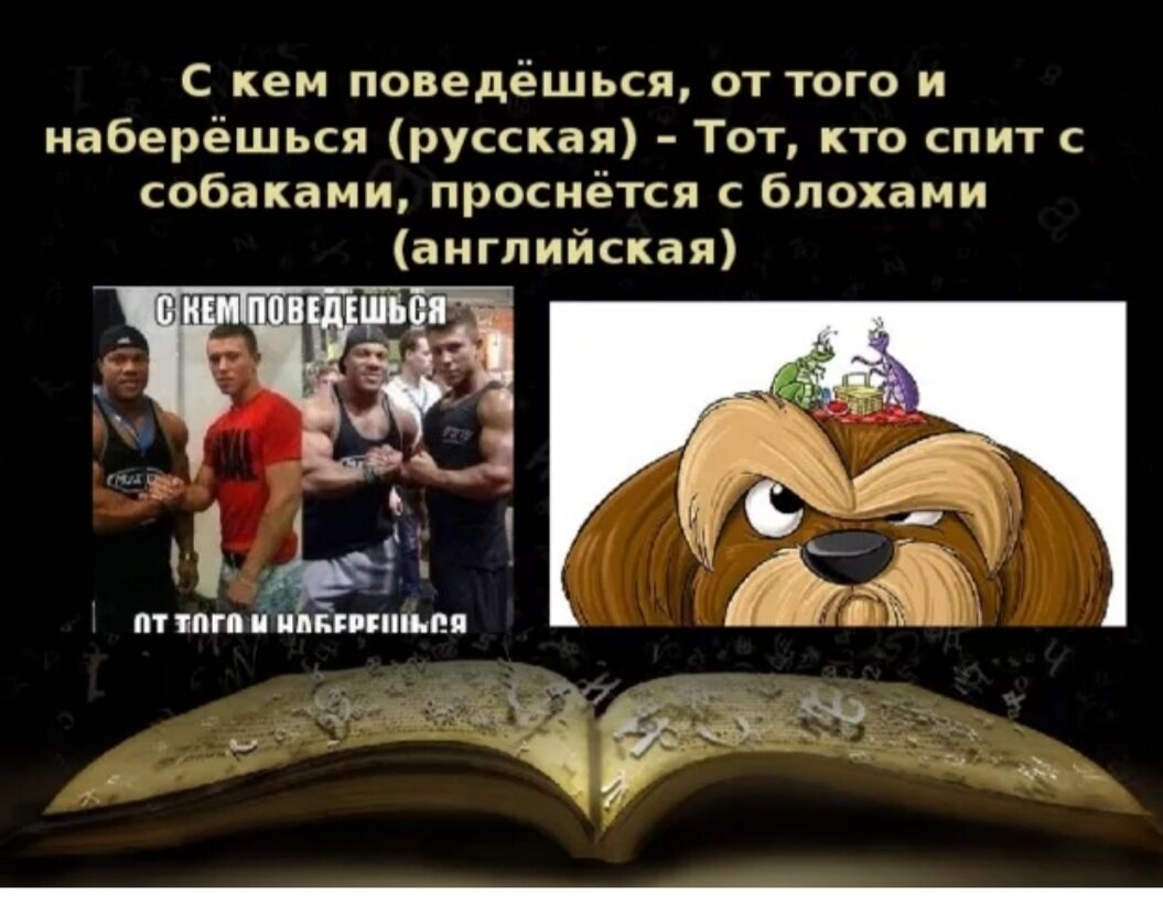 С кем поведешься. Пословица с кем поведешься от того. С кем поведешься того и наберешься пословица. С кем поведёшься от того и наберёшься. С кем поведёшься от того и наберёшься смысл пословицы.