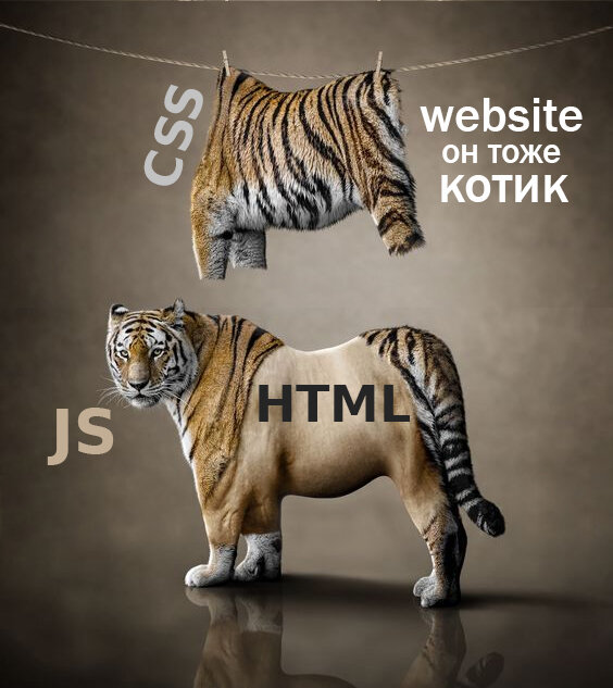 Сайт тайгер. Тигр тоже котик. Tiger надпись сбоку обувь
