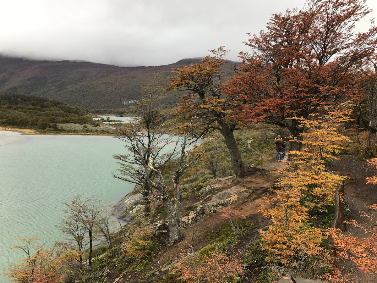 Parque nacional Tierra del Fuego