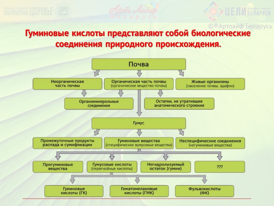 Регуляция обмена веществ