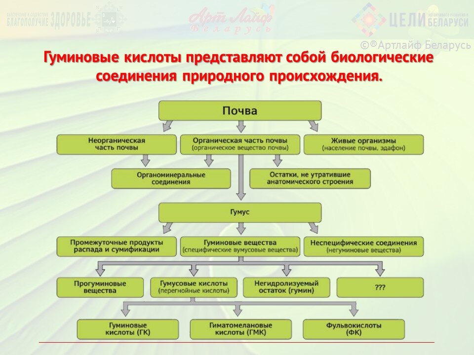 Польза кислот для человека