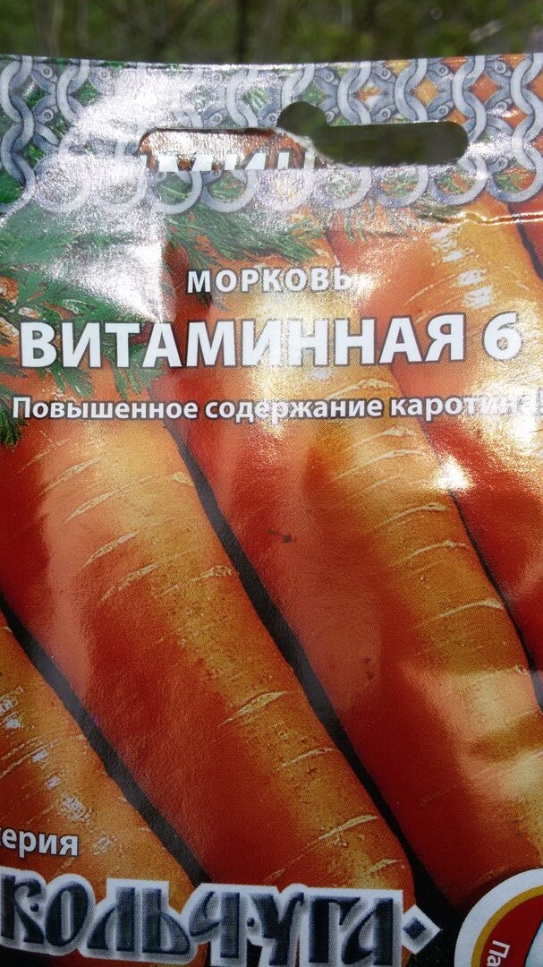 Семена моркови.