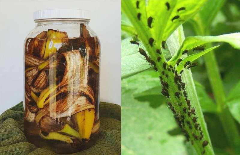 яндекс картинка